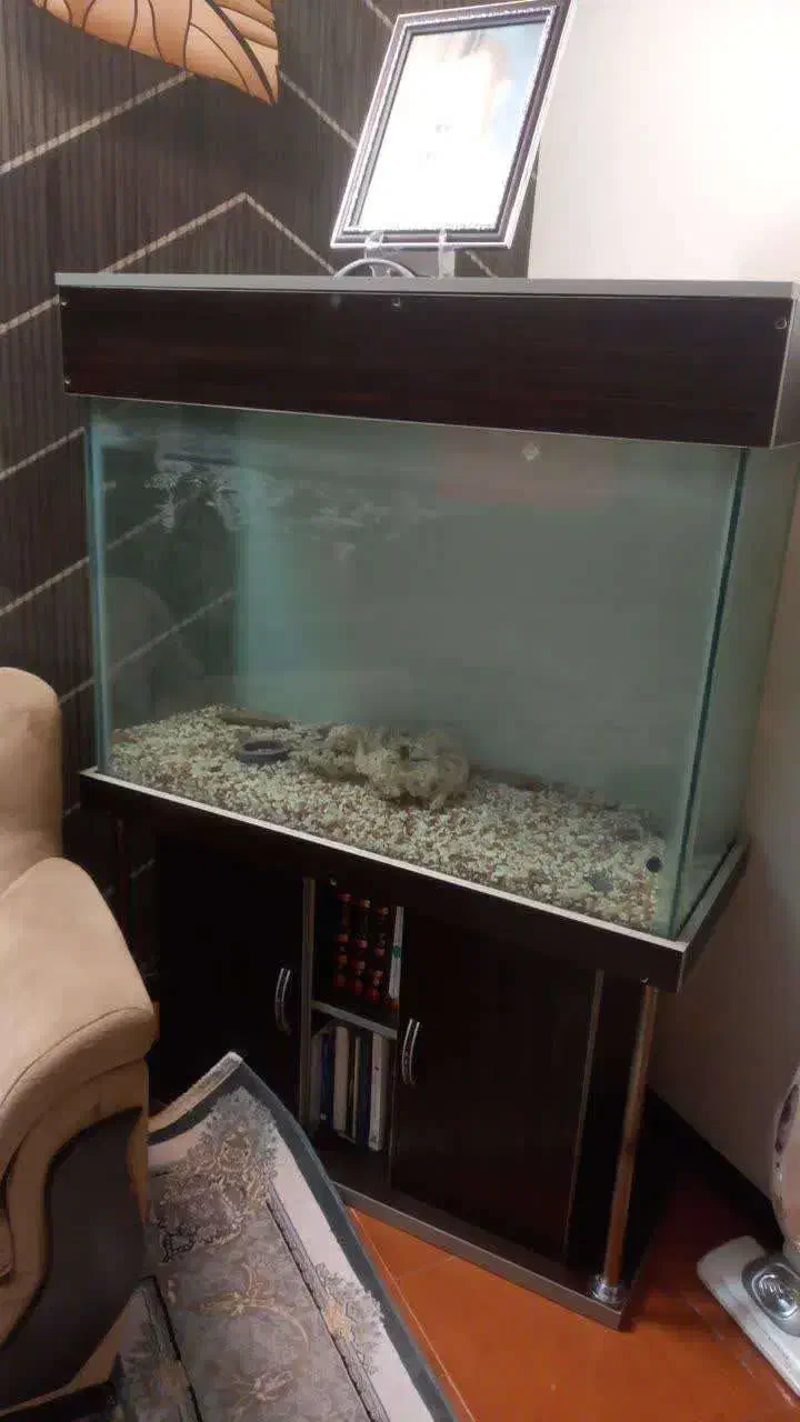 آکواریوم|ماهی|پاکدشت, پاکدشت (مامازند)|دیوار