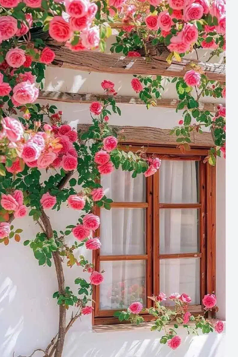 راهنمایی کنید|فعالیت داوطلبانه|رشت, پسیخان|دیوار