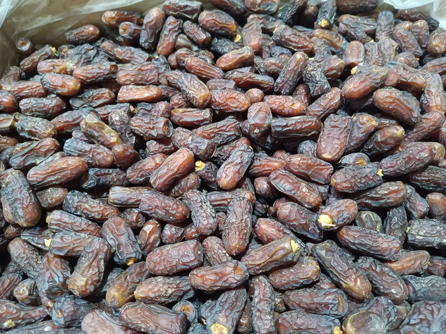 فروش خرما پیارم درجه یک عمده|عمده‌فروشی|شهریار, شهرک شاهد|دیوار