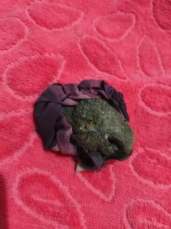 مهره‌قدیمی|جواهرات|اهواز, منازل کارون|دیوار