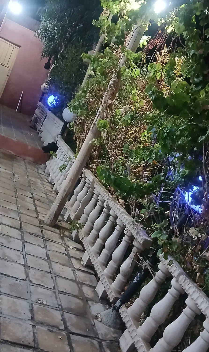 خونه باغ دشت حامد آباد|فروش خانه و ویلا|آران و بیدگل, |دیوار