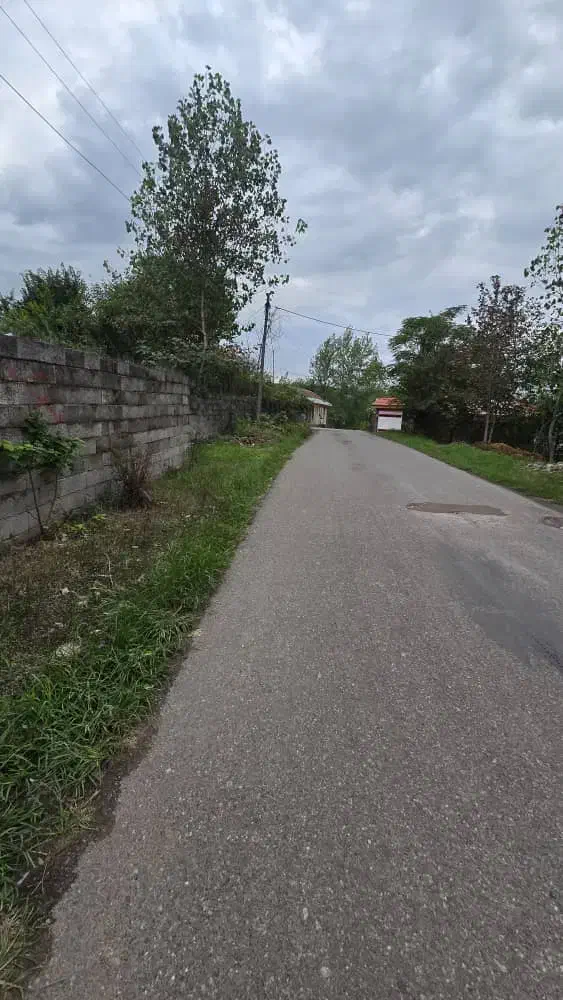 ۲۶۳متر زمین داخل بافت اسبچین کوچه نیلوفر|فروش زمین و ملک کلنگی|سلمان‌شهر, |دیوار