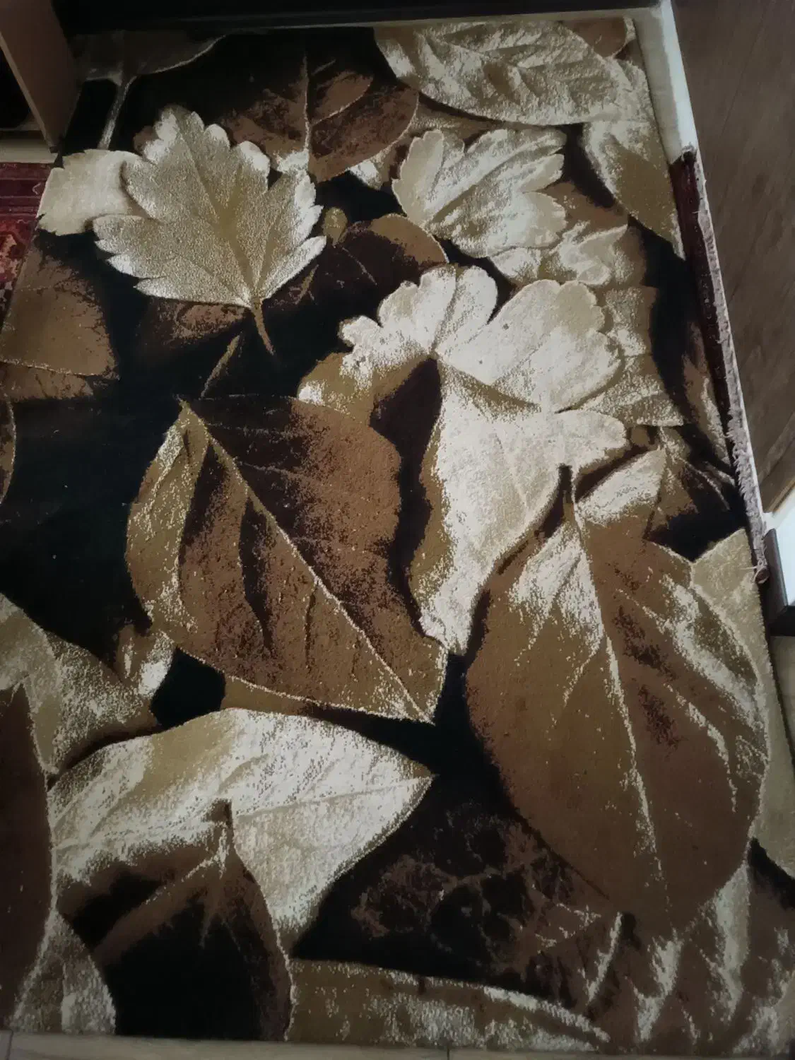 دوعدد گلیم فرش بزرگمهر|گلیم، جاجیم، گبه|ملایر, |دیوار