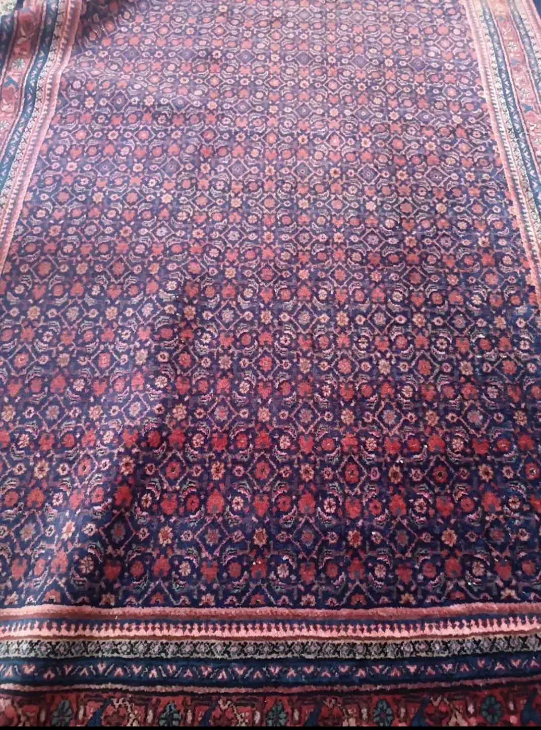 فرش ۶متری دست بافت|فرش|شاهدشهر, |دیوار