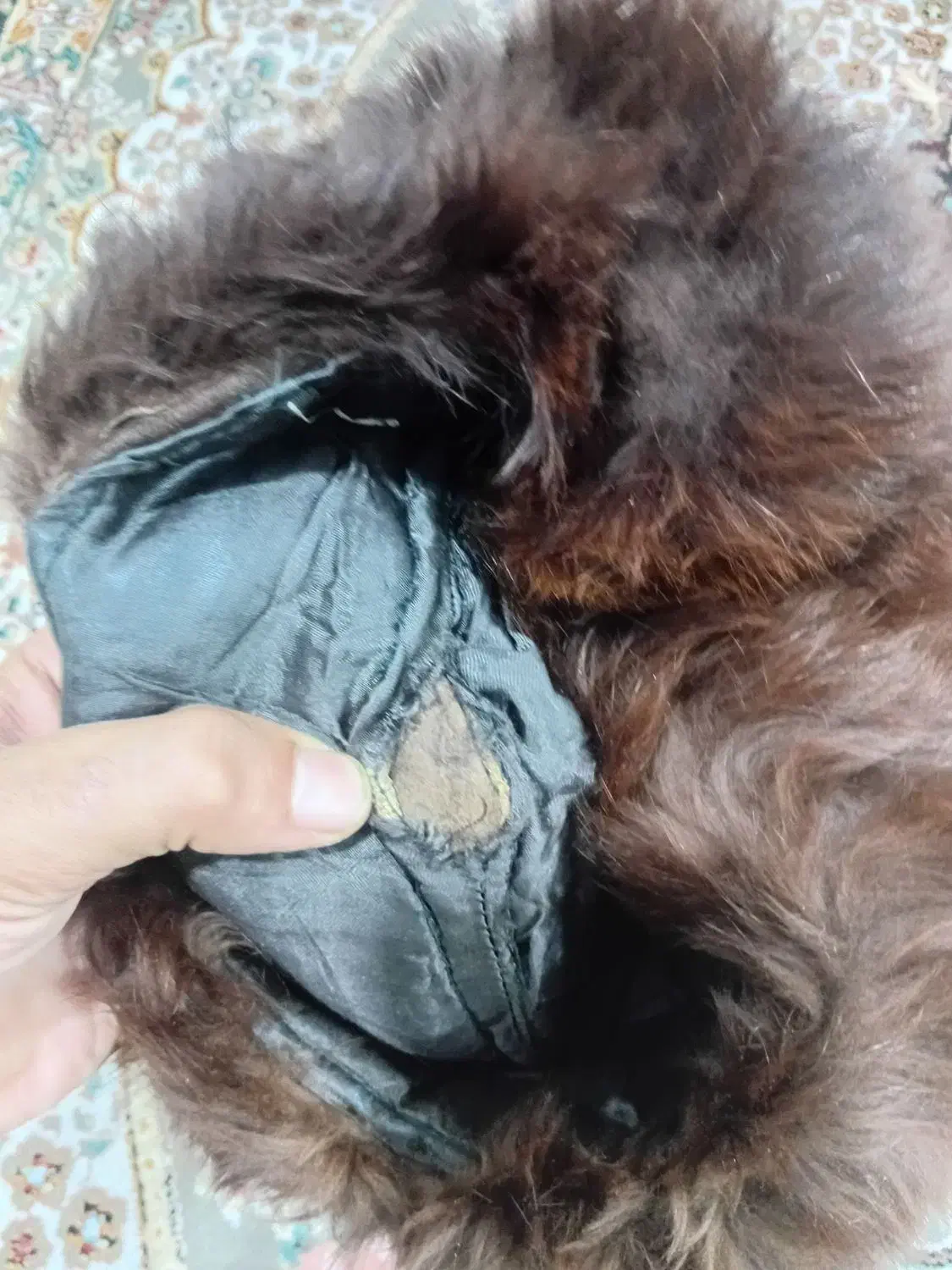 کلاه پوست|لباس|محمدشهر, محمدشهر|دیوار