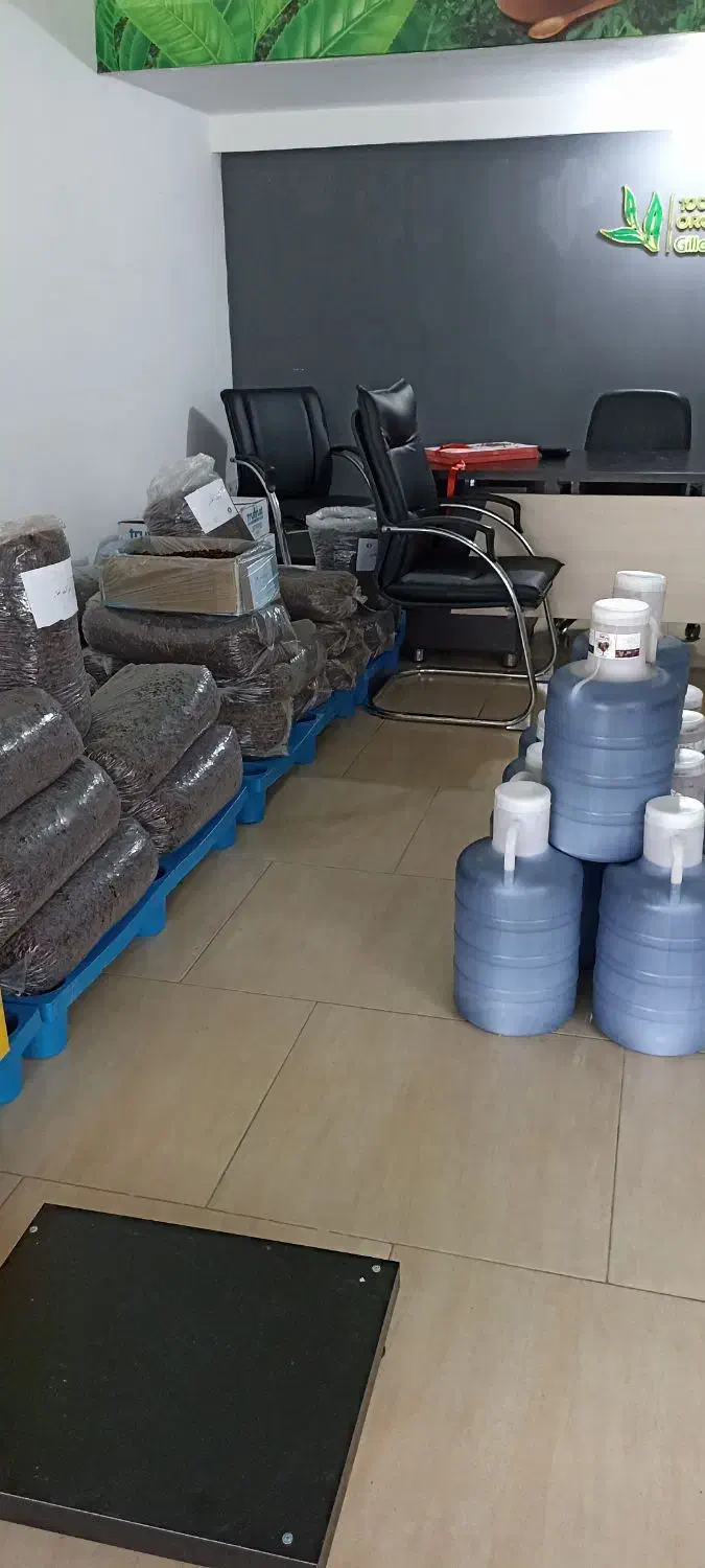 پخش کشمش آفتابی وشیره خرما|عمدهفروشی|نوشهر, |دیوار