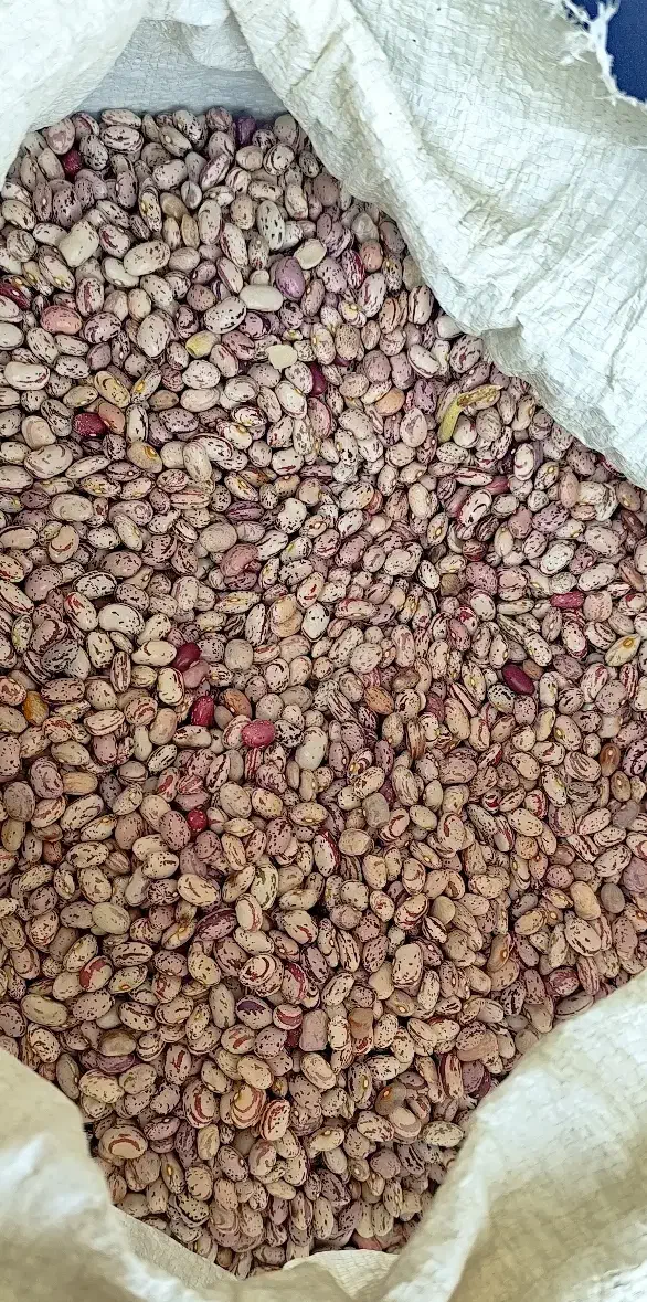 لوبیا چیتی|خوردنی و آشامیدنی|دیواندره, |دیوار