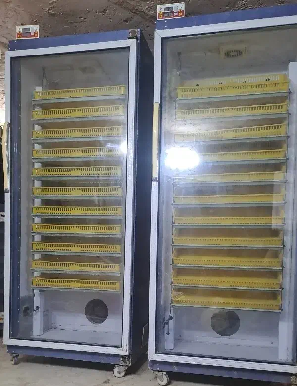 جوجه کشی 924|لوازم جانبی حیوانات|گرمسار, |دیوار