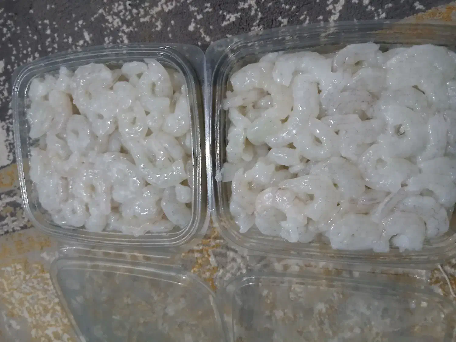 میگو سرتیز جنگل|ماهی|قشم, |دیوار