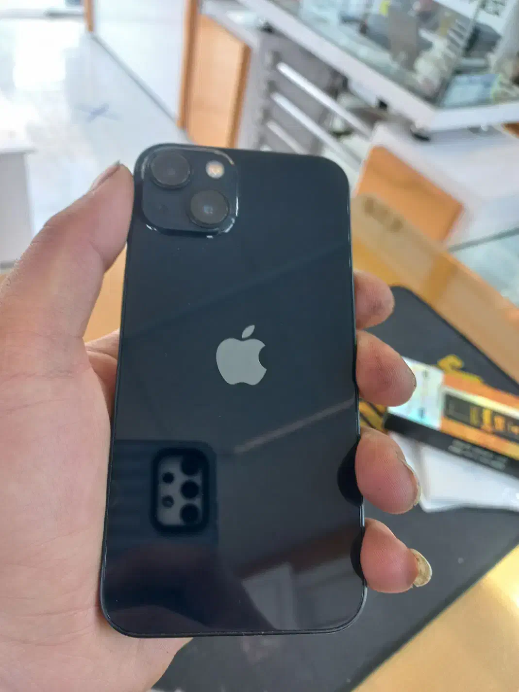 ایفون ۱۳ نرمال|موبایل|مشهد, کوی المهدی|دیوار