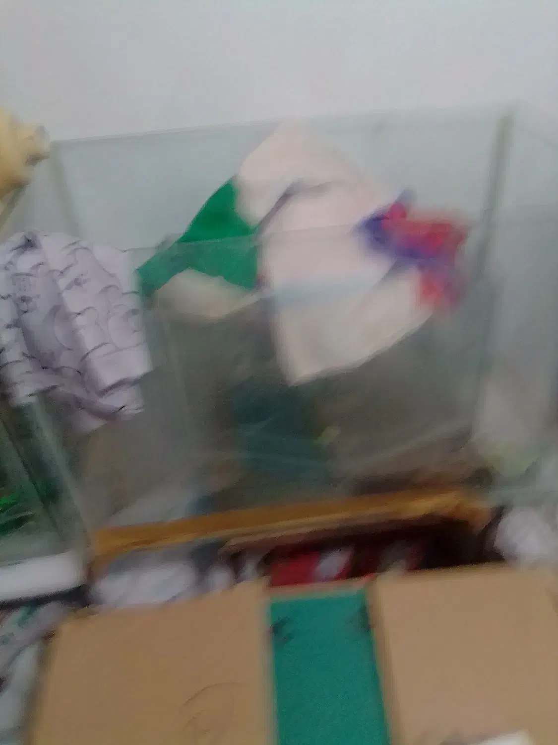 دو عدد آکواریوم بزرگ مخصوص مغازه ومنزل ومحل کار|ماهی|بومهن, |دیوار