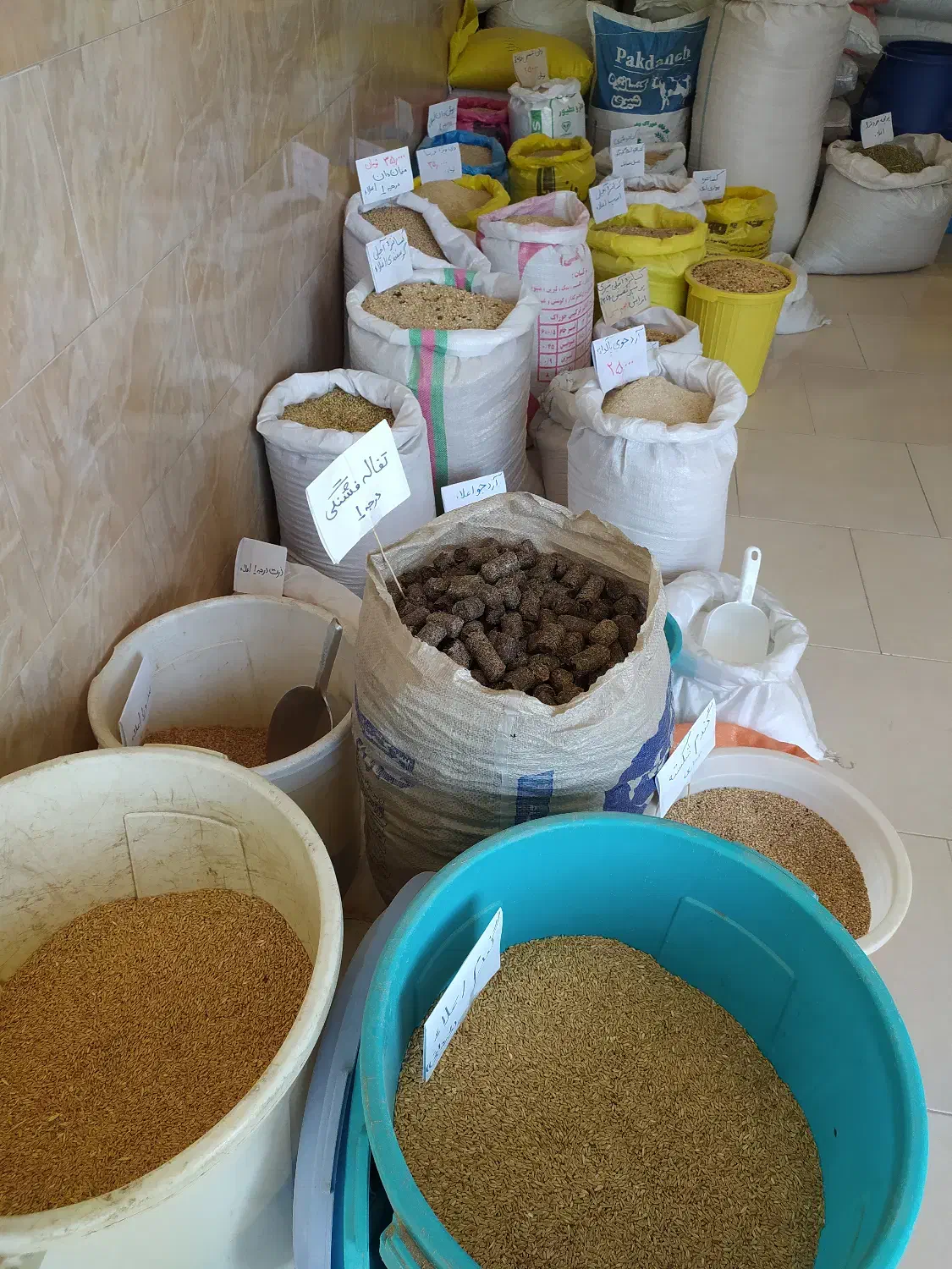 خوراک دام|حیوانات مزرعه|سنگر, |دیوار