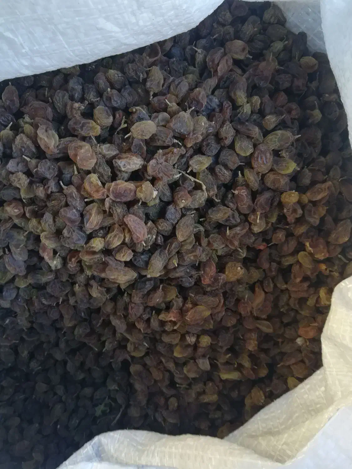 کشمش آفتابی تمیز|خوردنی و آشامیدنی|نیشابور, شهرک فرهنگیان|دیوار