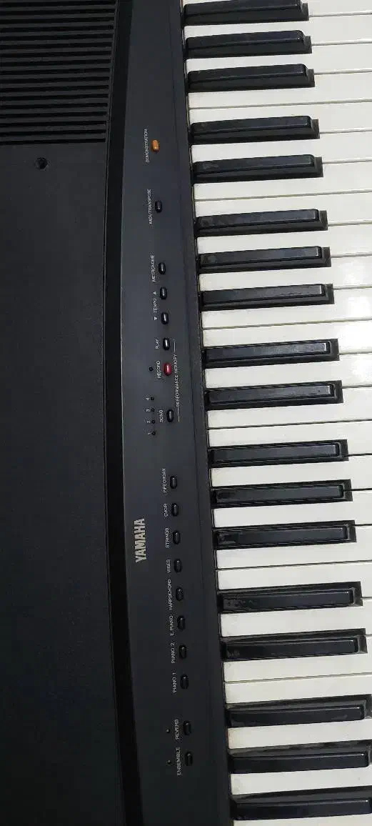 پیانو یاماها ypp|پیانو، کیبورد، آکاردئون|زاهدان, |دیوار