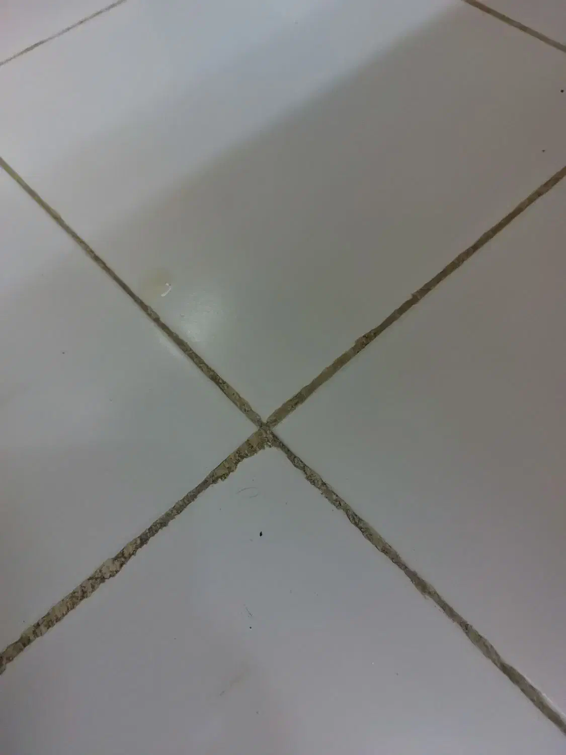 آگهی استخدام کارشناس(لیسانس)|استخدام صنعتی، فنی، مهندسی|قشم, |دیوار