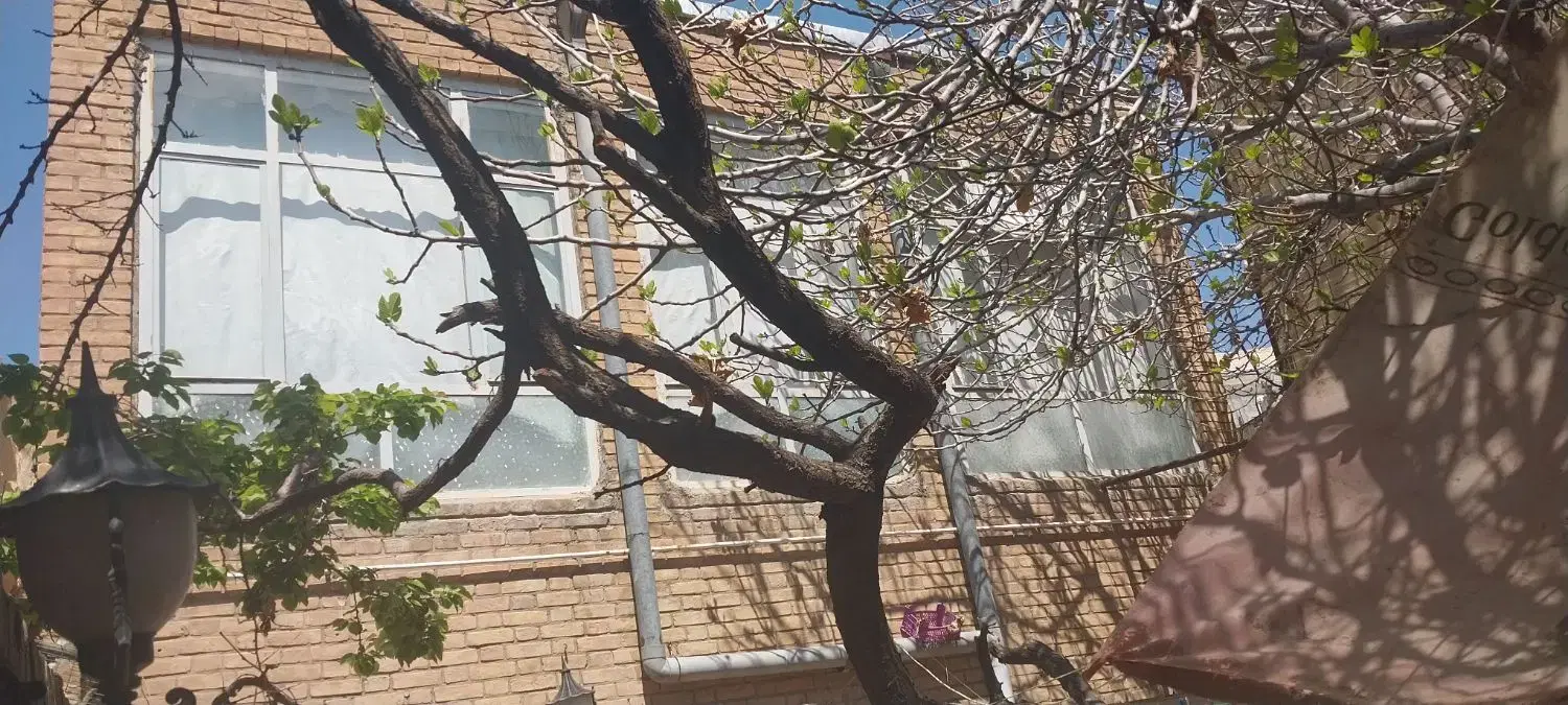 تصویر 8