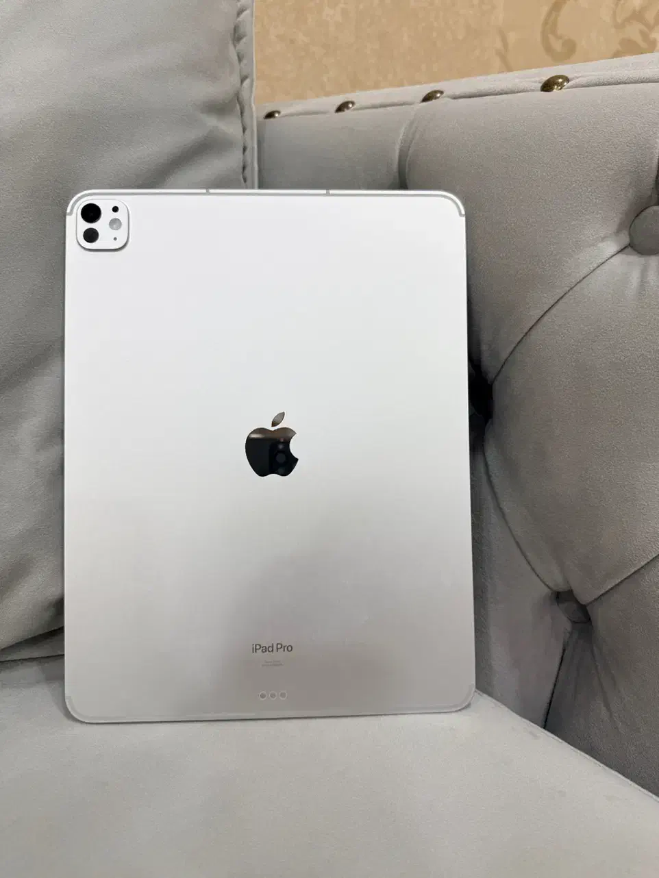 آیپد پرو ۱۳ اینج 2024 حافظه ۵۱۵ گیگ سلولار(esim)|تبلت|دزفول, |دیوار