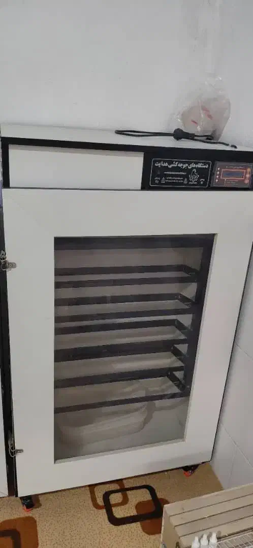 دستگاه جوجه کشی 504 تایی تمیز|لوازم جانبی حیوانات|بوشهر, |دیوار