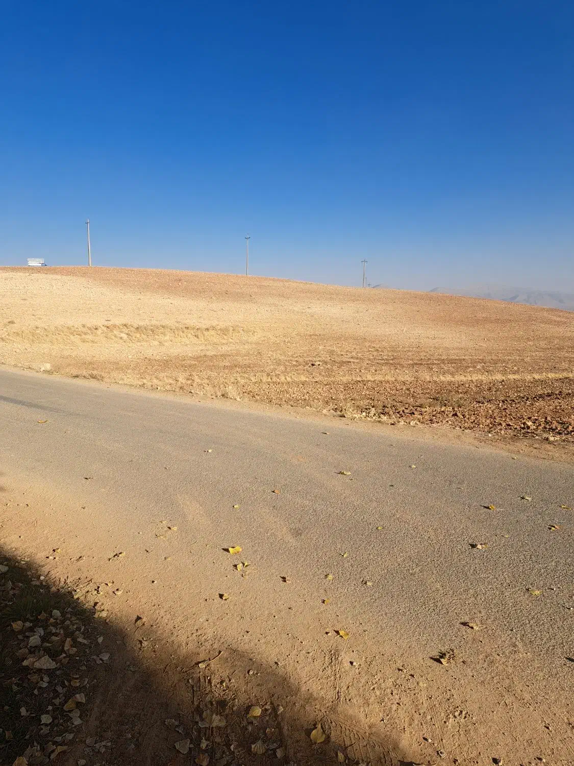 فروش زمین کشاورزی آبی|فروش دفتر صنعتی، کشاورزی، تجاری|سپیدان, |دیوار