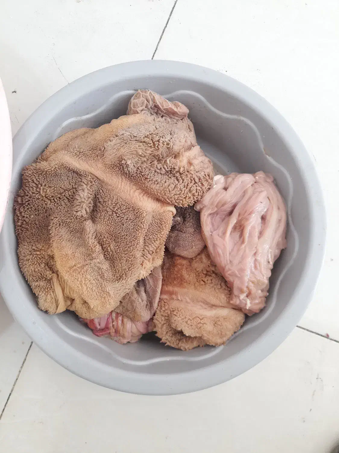 گوسفنده زنده گوشت جگر سیرابی|خوردنی و آشامیدنی|درح, |دیوار