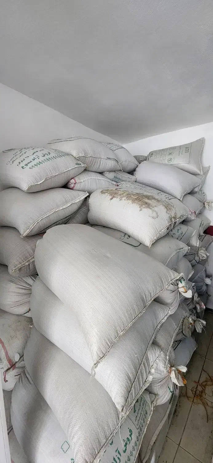 بذری گندم قابوس|عمده‌فروشی|بندر ترکمن, |دیوار