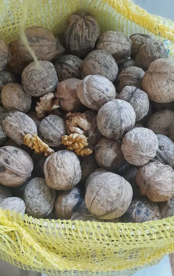 گردو|خوردنی و آشامیدنی|آشخانه, |دیوار