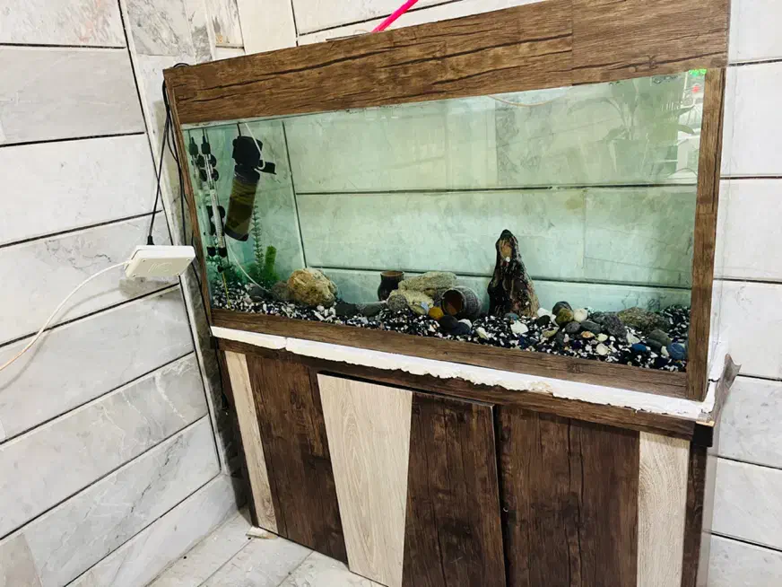 فروش آکواریوم ۱/۴۰cmبا لوازم کامل و میز MDF|ماهی|گلپایگان, |دیوار