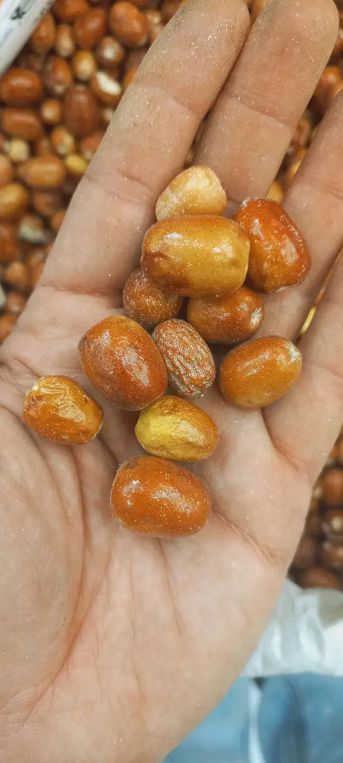 سنجد|خوردنی و آشامیدنی|یزد, |دیوار