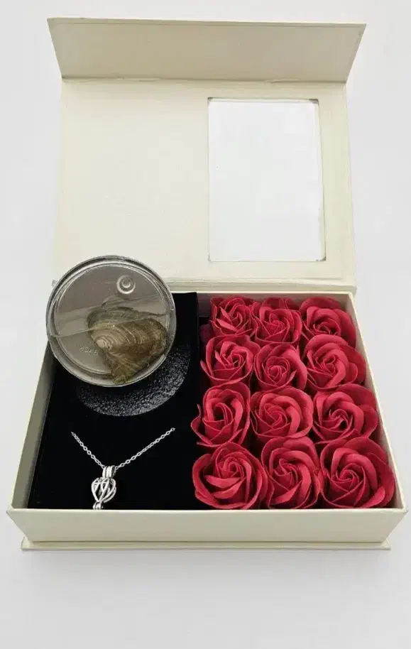 باکس گردنبد عشق|بدلیجات|بندرعباس, |دیوار