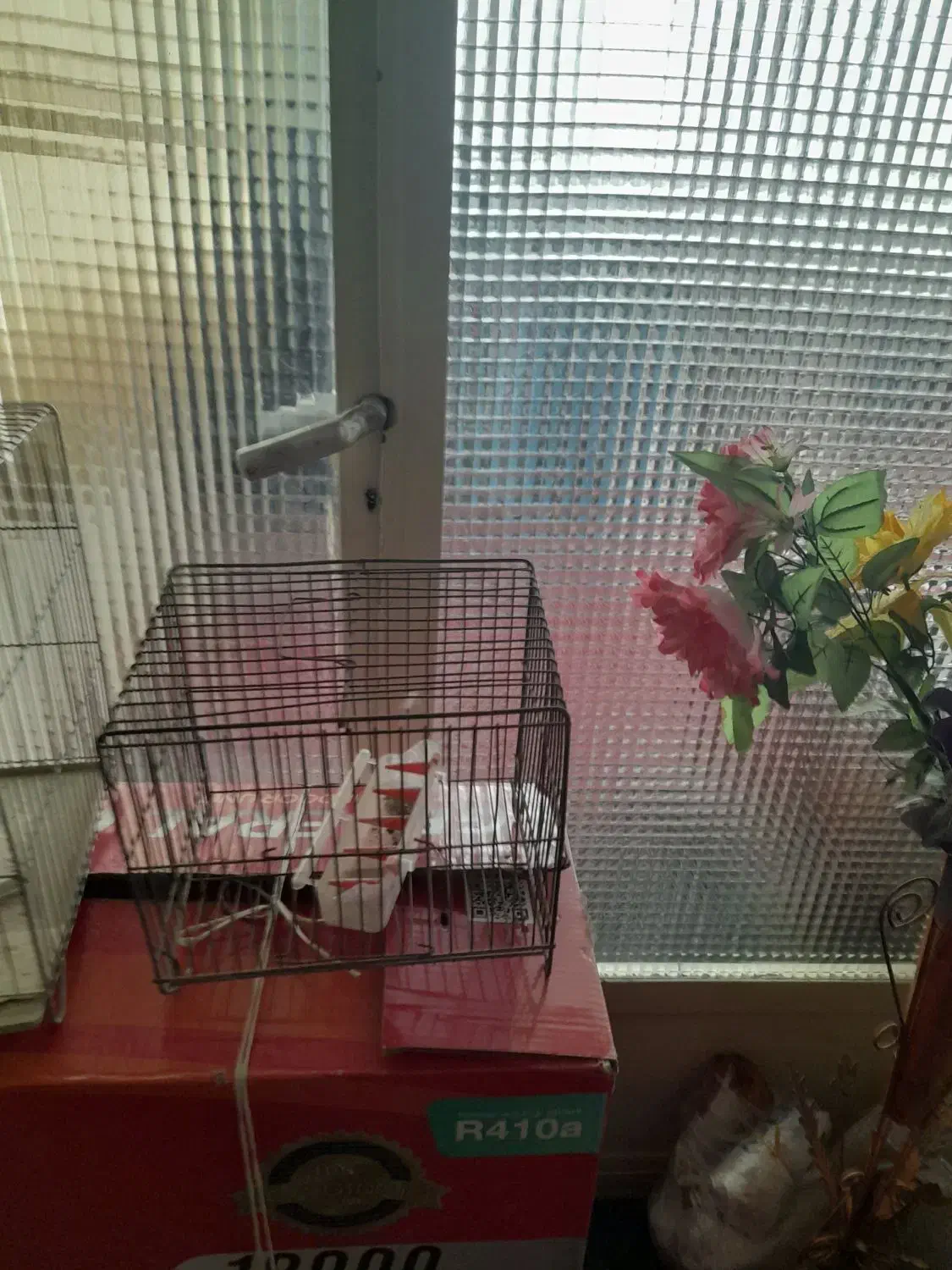 قفس با وسیله اش|لوازم جانبی حیوانات|تهران, فرزانه|دیوار