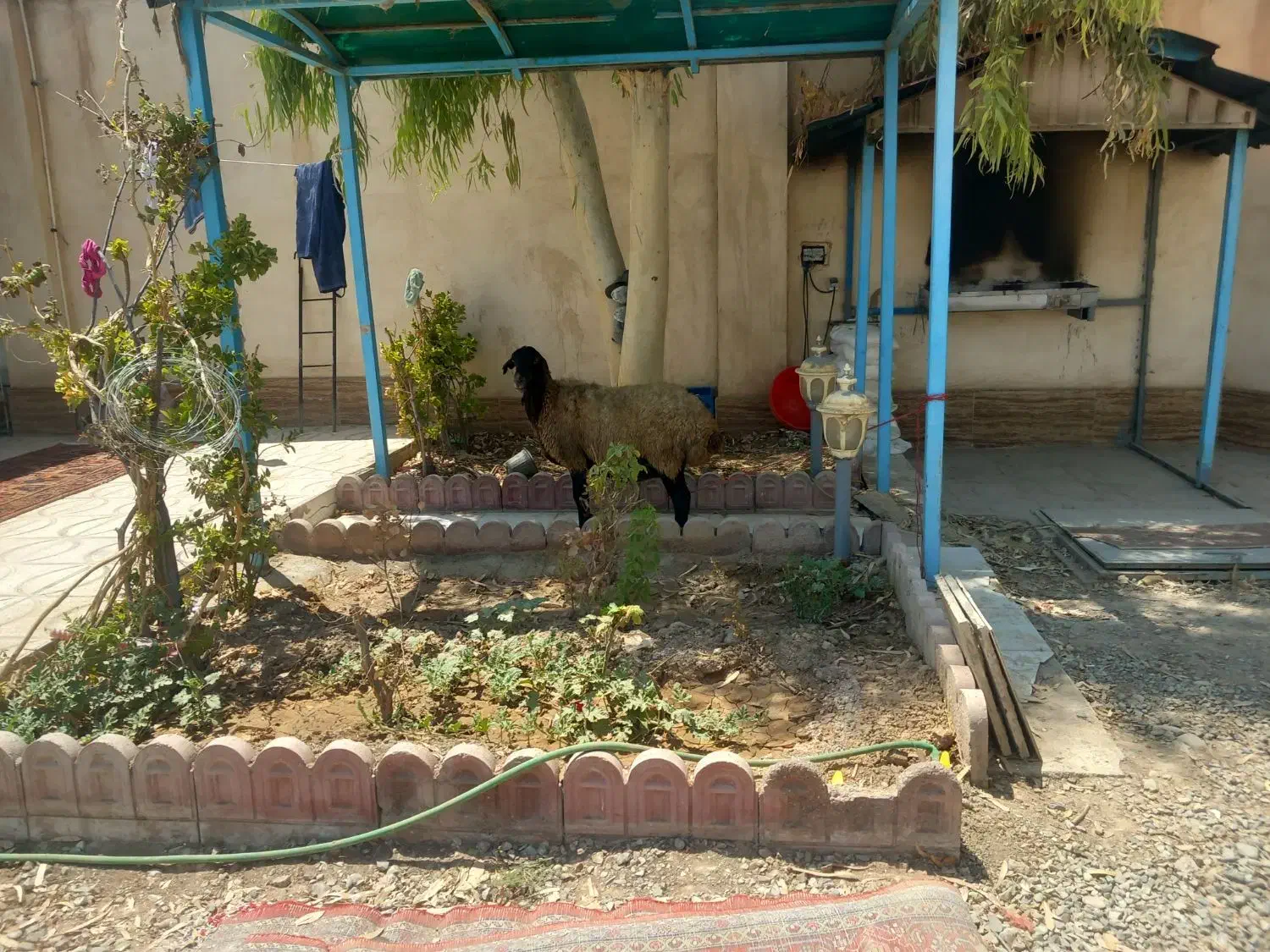 سرایدار|استخدام سرایداری و نظافت|رباطکریم, شهرستانک|دیوار