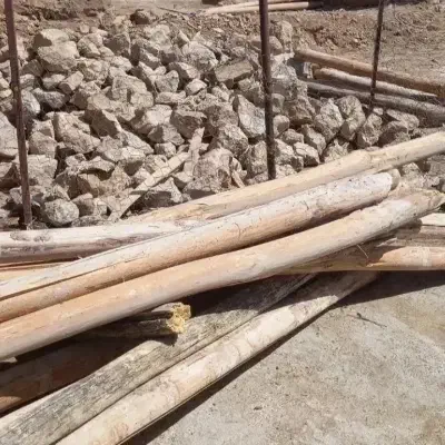 خرید انواع چوب تر و تیرسقف پشت بام|خدمات باغبانی و درختکاری|ملایر, |دیوار