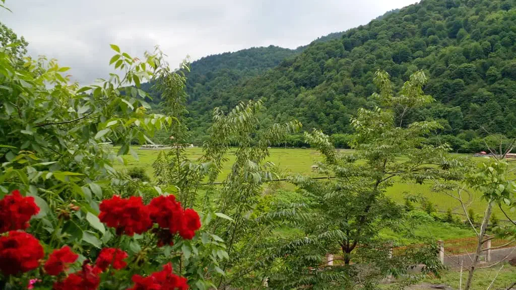 ویلاروستای جنگلی ‌مسیرالسبلنگاه ماسال از‌۱۷ ام|اجارهٔ کوتاه‌مدت ویلا و باغ|رشت, عینک|دیوار