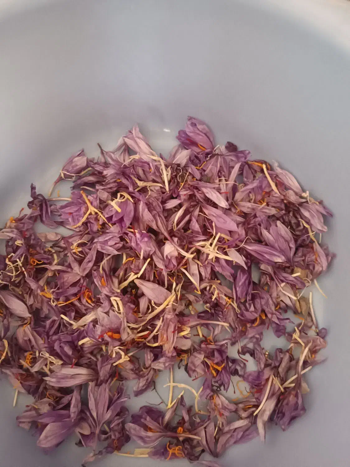 کارگر برای زعفران با سرویس تایباد کاریز|خدمات باغبانی و درختکاری|تایباد, |دیوار