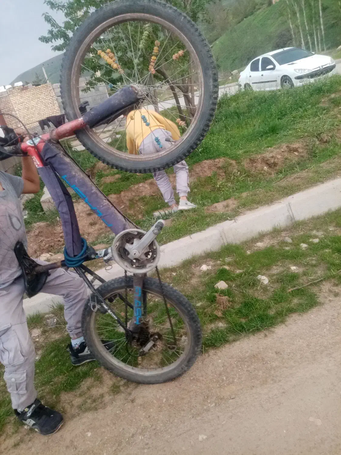 دوچرخه 20|دوچرخه، اسکیت، اسکوتر|سیلوانه, |دیوار