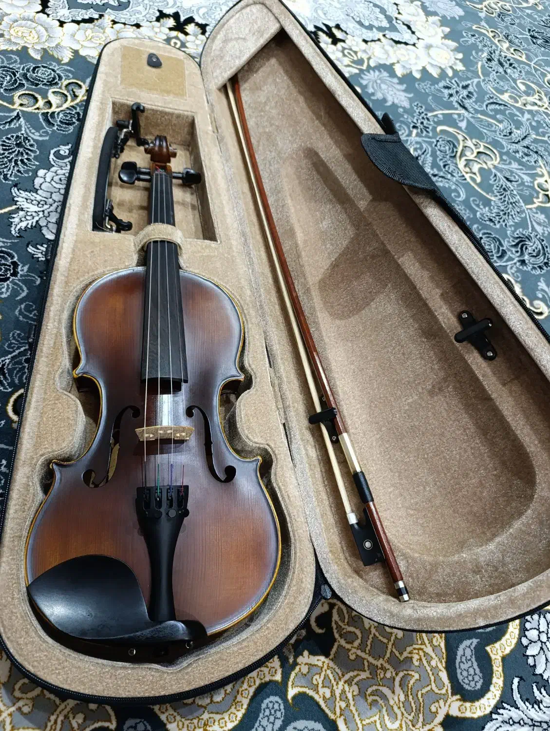 ساز ویولن|ویولن|زنجان, |دیوار