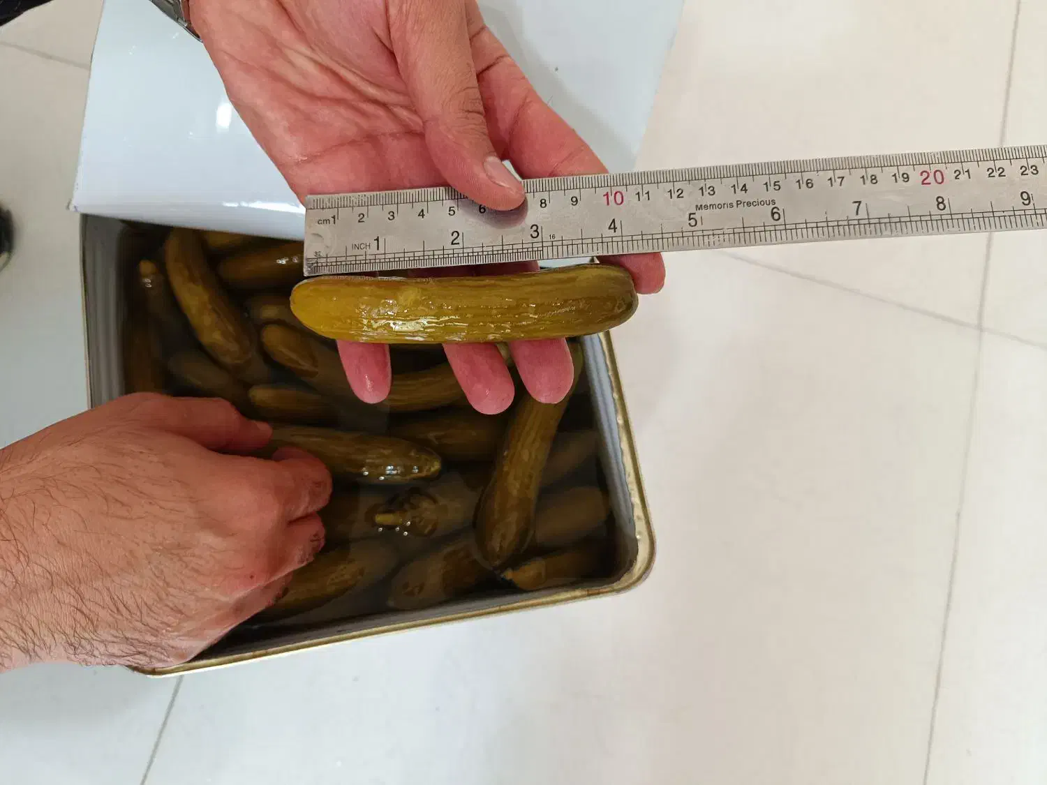 خیارشور حلب ۱۷کیلویی سایز ممتاز|عمدهفروشی|بهار, |دیوار