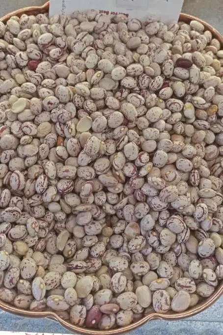 لوبیا چیتی سرحد|خوردنی و آشامیدنی|سده (فارس), |دیوار