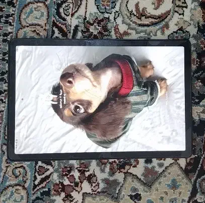 تبلت +Galaxy Tab A9|تبلت|سنندج, |دیوار