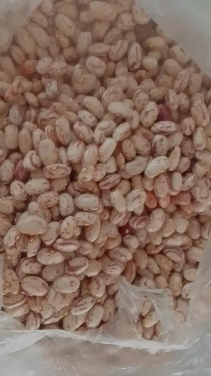 لوبیا|خوردنی و آشامیدنی|اهر, |دیوار