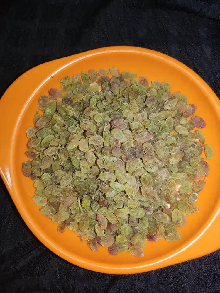 فروش|خوردنی و آشامیدنی|شیراز, بازار|دیوار