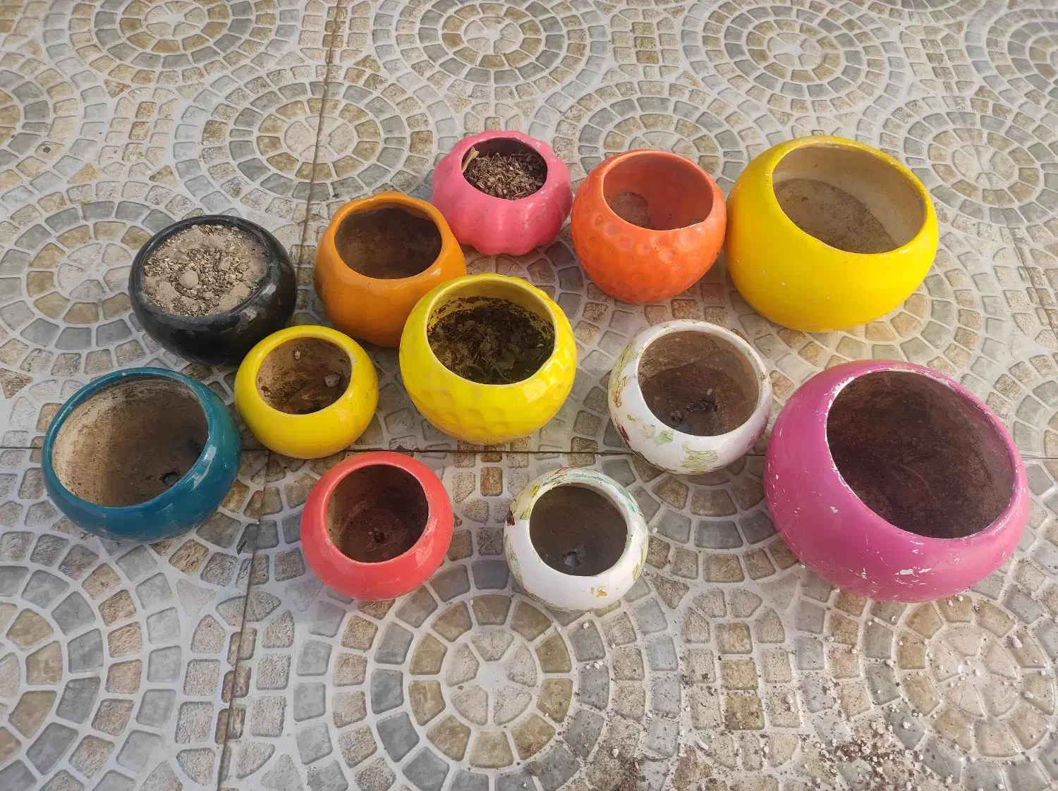 گلدان|گل و گیاه طبیعی|فسا, |دیوار