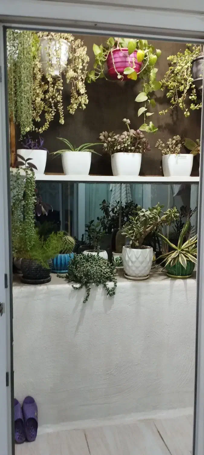 آپارتمان مهرگان مجتمع گل سرخ.|فروش آپارتمان|محمدیه-قزوین, |دیوار