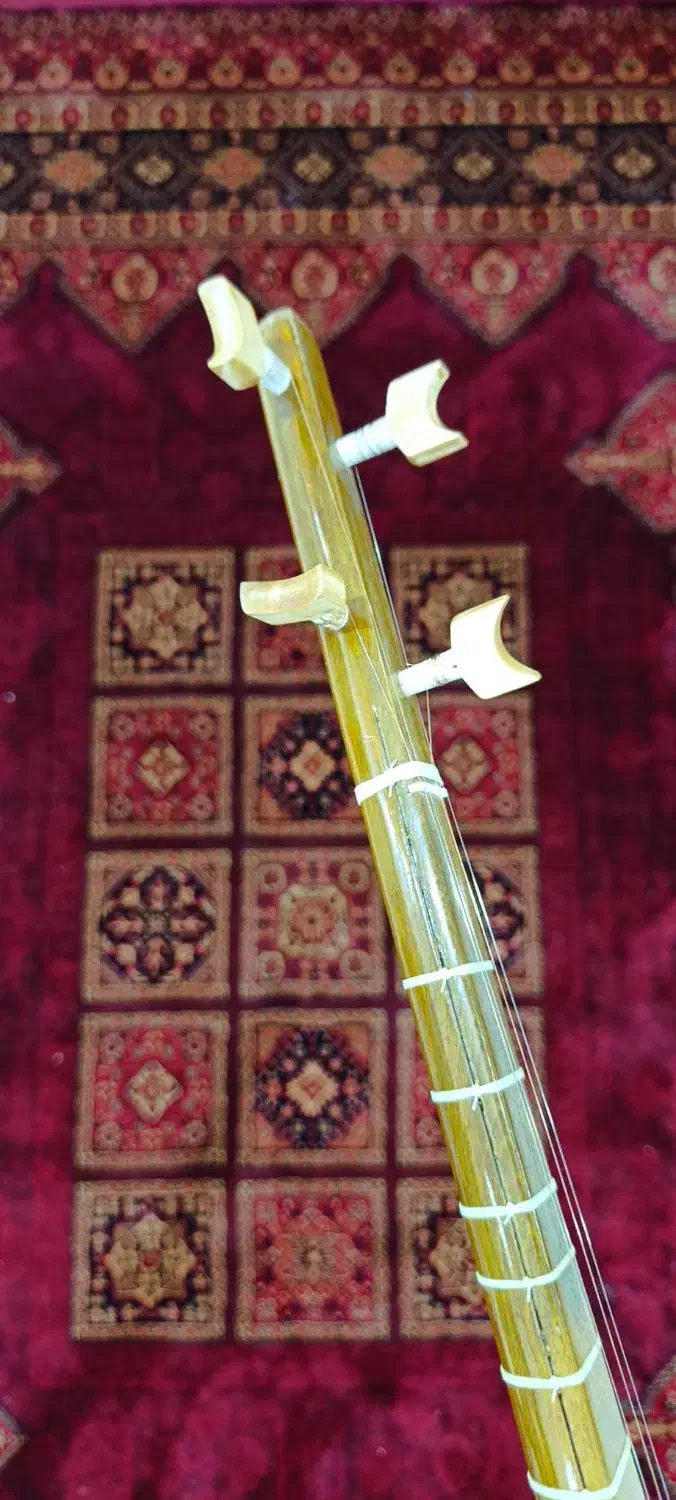 سه تار نو|سازهای سنتی|رشت, عینک|دیوار