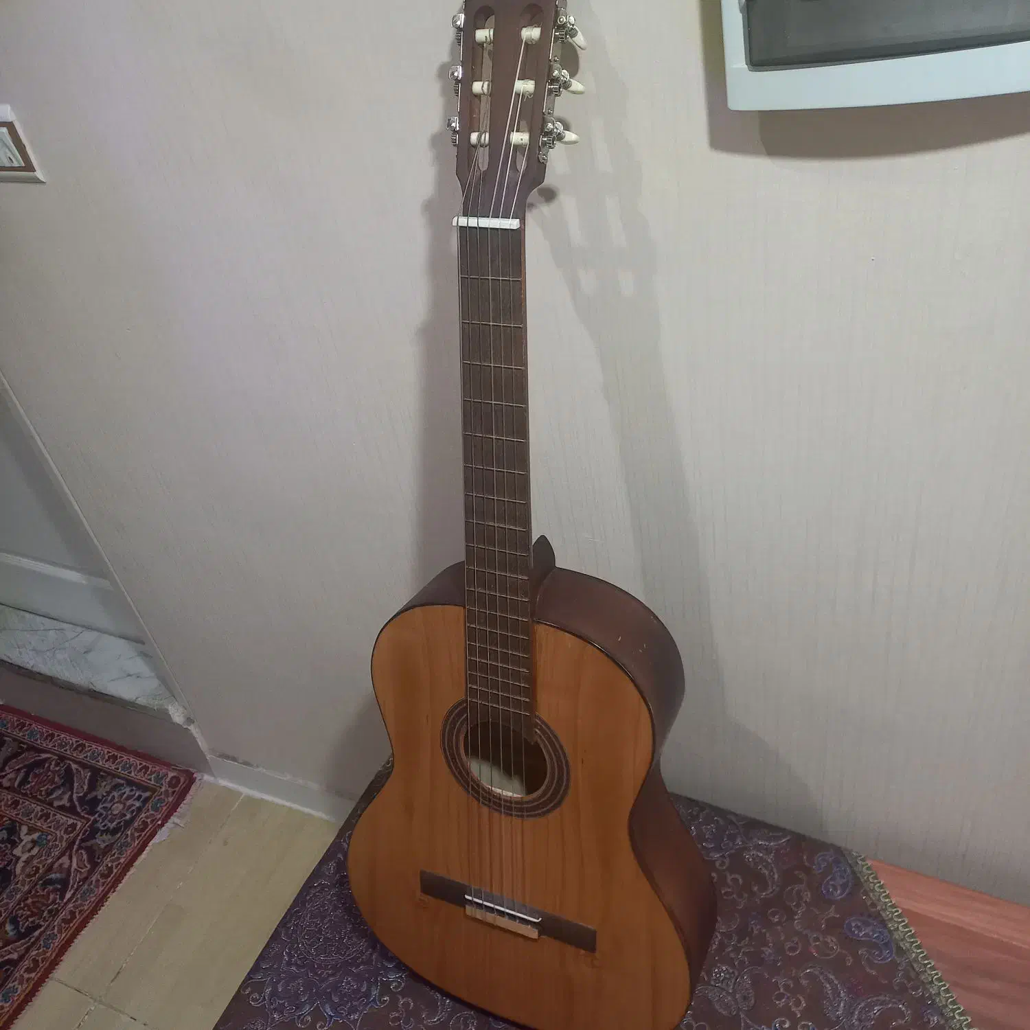 گیتارROYALنو|گیتار، بیس، امپلیفایر|قزوین, |دیوار