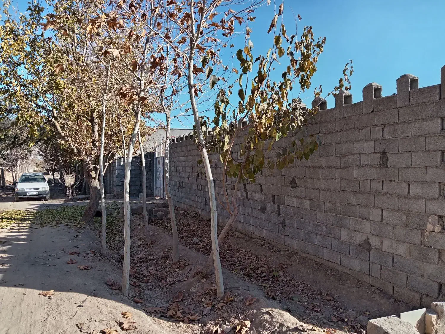 فروش باغ 700 متری|فروش زمین و ملک کلنگی|نجف‌آباد, قلعه سفید|دیوار