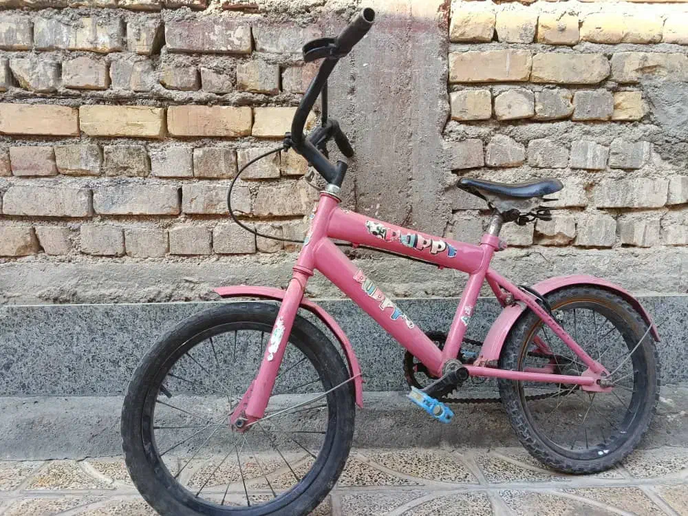 دوچرخه|دوچرخه، اسکیت، اسکوتر|مرودشت, فرهنگ|دیوار