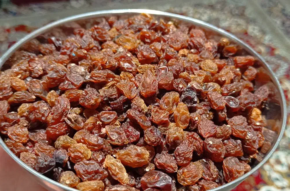 مویز & ممیز|خوردنی و آشامیدنی|سبزوار, گلشن|دیوار