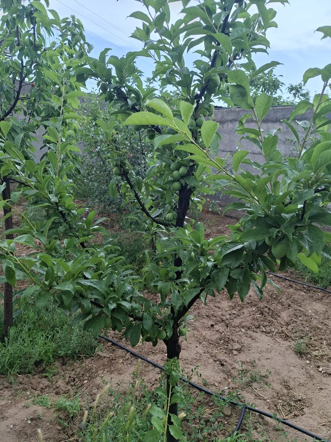 تصویر 4