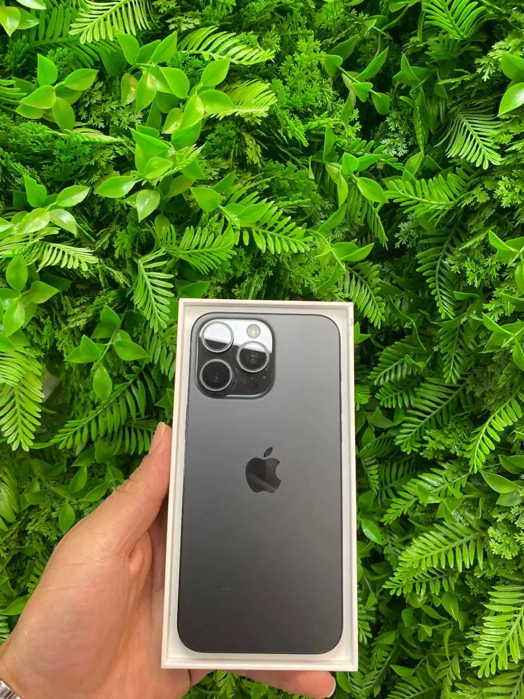 15 promax|موبایل|زنجان, |دیوار